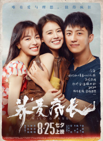 动漫大雷美女